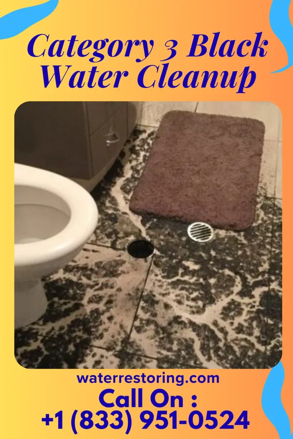 Category 3 Black Water Cleanup in Tarrant, AL