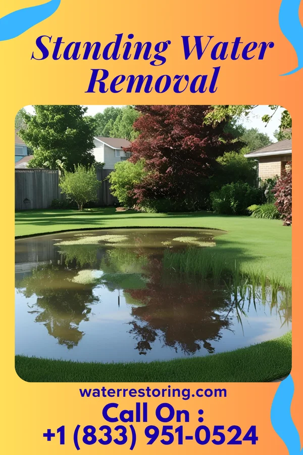 Standing Water Removal in Tarrant, AL
